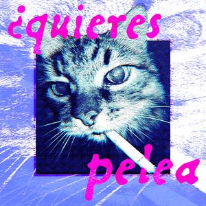 ¿quieres pelea
