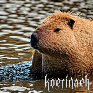 O Pulsar das Capivaras