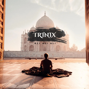 Trinix (Ali Ali Ali) TikTok (Remix)