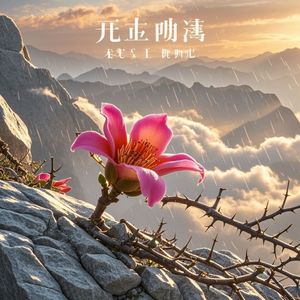 木棉谣