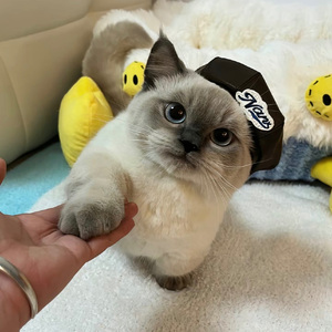 浪漫主义（片段）