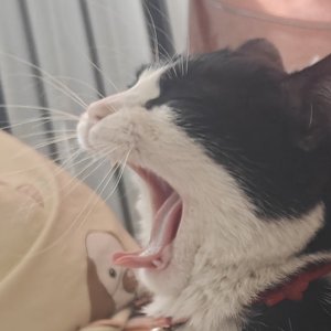 看着你背影不知所措