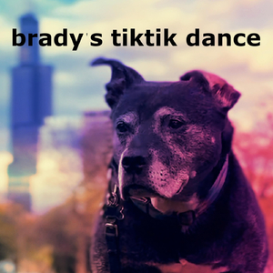 brady's tiktik dance