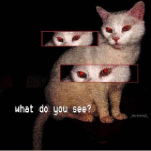 T̴̥̩̺̤̓̈́͒̐́̎̓̓̒͛̾̽̽͂͗̓̀͒̀̆̐̿̕͘͘͝͝o̷̬̞̭̠̥̲̥̩͇̳̮͈̣̒̎̎̽͋̓͊͗̓̿̑͂̽̒̋̋͋̾̒́̾̌͜͝͝ḋ̸̡̡̢̺͈̱̖̼͕̭̲͖̻͙̱̙͙̜̫̜̘͓̻̮̥͖͚͍̦̓̉̊̎̃̃ͅḁ̴͛̃̈́̑̂͋̌̒́̓̄̔v̴̢̯͈̘̤̬̝̮̪̦͓͔̾͐͐̊̽̉̽͋̑͝͝͠į̶̯̫̦̮̖̫̣̯͉̓͒̿͑͆̏͗̇͂͋̂̔̈́̆͘͘͝͝ͅą̵̢̧̡͇̹̺̖̹̯̲͇̖͕͐̅̔͐̽͋̌̎̿̏́̈́͑̓̔̀̀̑̄̍̎̈́̀͘͘̕͜͝͝͝ͅ ̷̀́̉̈́̎͒̅́̅̄͌̐̄͂͂̿͋̊̂͊̚͠