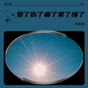 爱了伤了痛了累了懂了