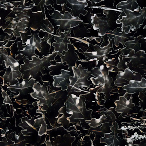 Steam Boiler Scoop Kingston Valve