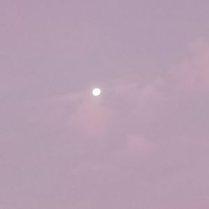 8.4（prod 黑车司机）