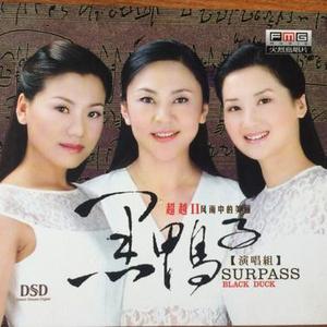 向往神鹰