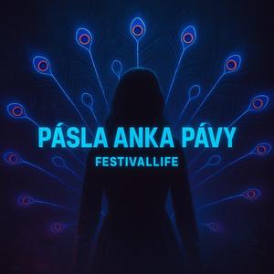 FestivalLIFE - Pásla Anka pávy, pierka sa leskli v tme