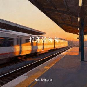 相逢皆匆匆