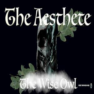 Been Thru It All (feat. Tint City & Young Santana)