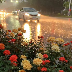 一起吹过晚风的街