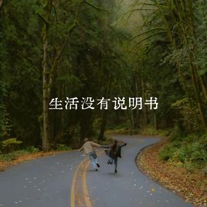 生活没有说明书