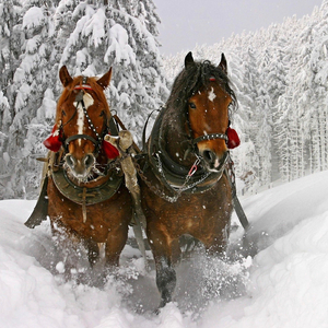 Jingle Bells (feat. Garing)