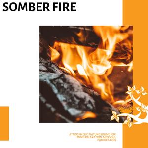 Ripple Water Effects