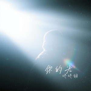 你的光