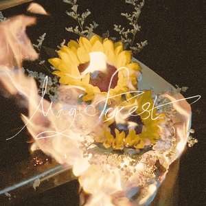 หมดแล้วเรื่องร้ายที่ผ่านมา