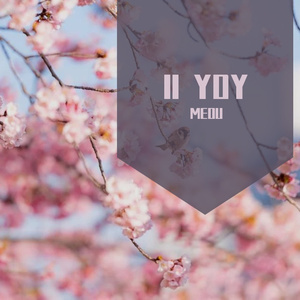 II YOY