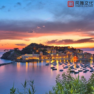 月是人间散客（小提琴）