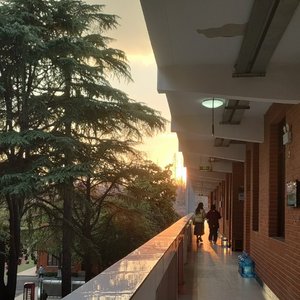 只有不想追的梦