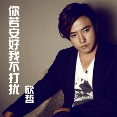 你若安好我不打扰 (DJcandy Mix)