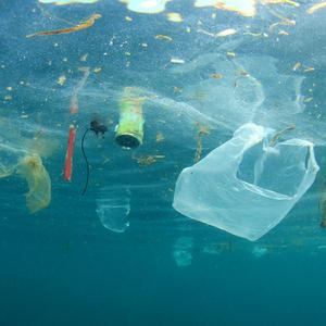 Sea Plastic
