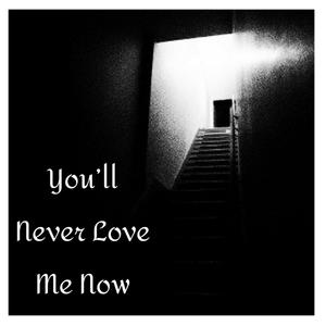 You'll Never Love Me Now (feat. David Bellet & Shane Anstendig)