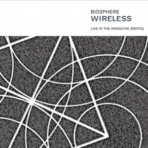 Birds Fly by Flapping Their Wings