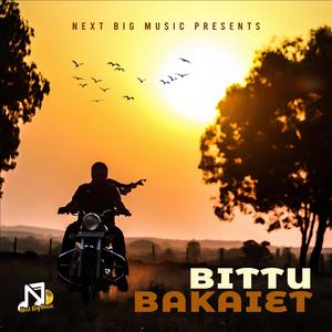 Bittu Bakaiet