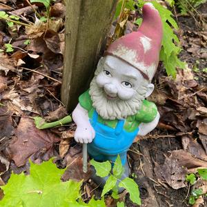 THE BEST (feat. Extraterrestrial-Crow)