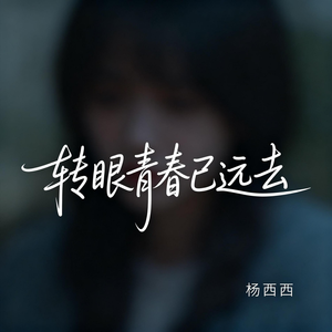 转眼青春已远去（原版）