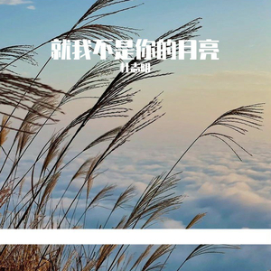 看清了还会继续吗