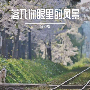 落入你眼里的风景