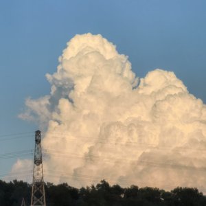 奔向你（cover:周深）