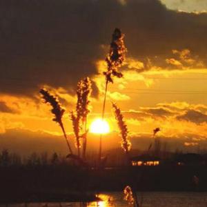 从痛苦之中求生