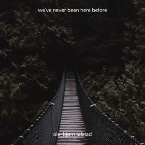 We've Never Been Here Before