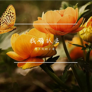 去企鹅