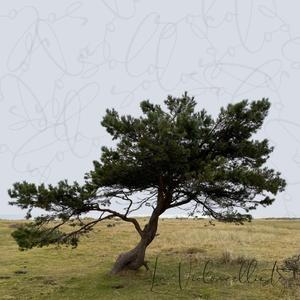 Seule dans un jardin stérile