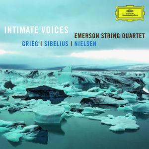 String Quartet In D Minor Op.56 "Voces intimae":1. Andante - Allegro molto moderato