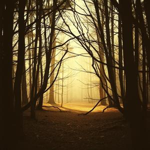 隣にいる理由　+