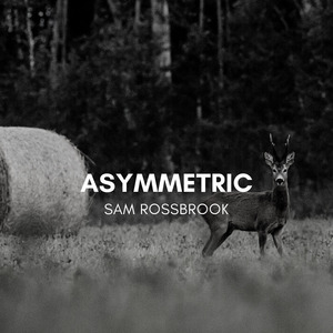 Asymmetric