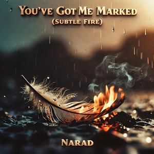 You've Got Me Marked (Subtle Fire)