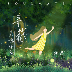 寻找唯一灵魂伴侣