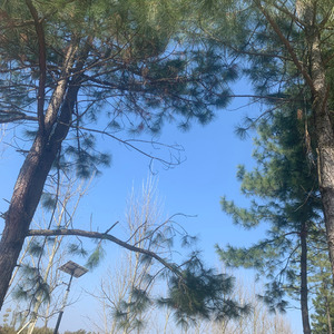 海上单身狗·贰零贰肆