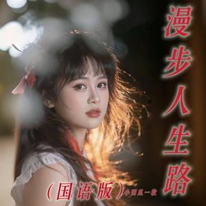 漫步人生路 (国语版)
