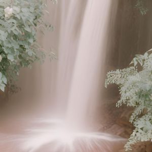 Pink Lullaby Cascade