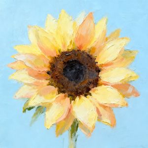 ヒマワリが咲く予定（向日葵将绽放）