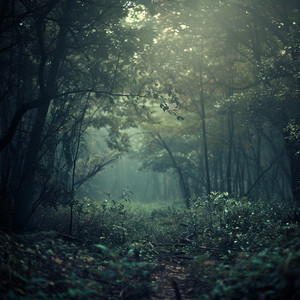 Serenidad Intelectual De La Música Ambiental