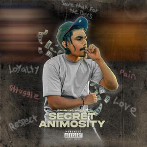 Secret Animosity