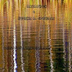 Beyond the Audio Hemisphere